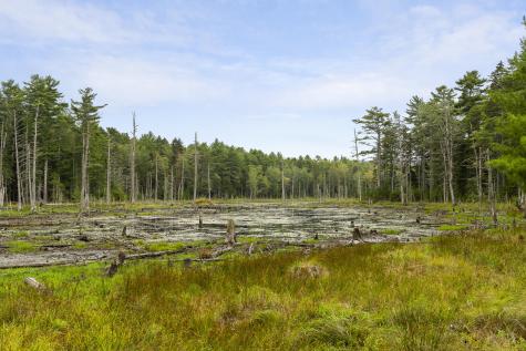 27 Doggett Road Westport Island ME 04578