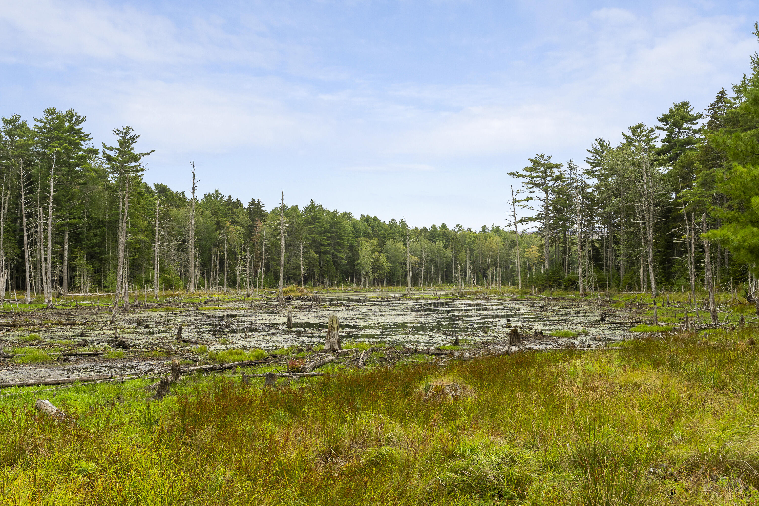 27 Doggett Road Westport Island ME 04578