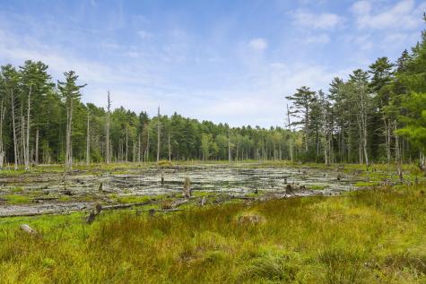 27 Doggett Road Westport Island ME 04578