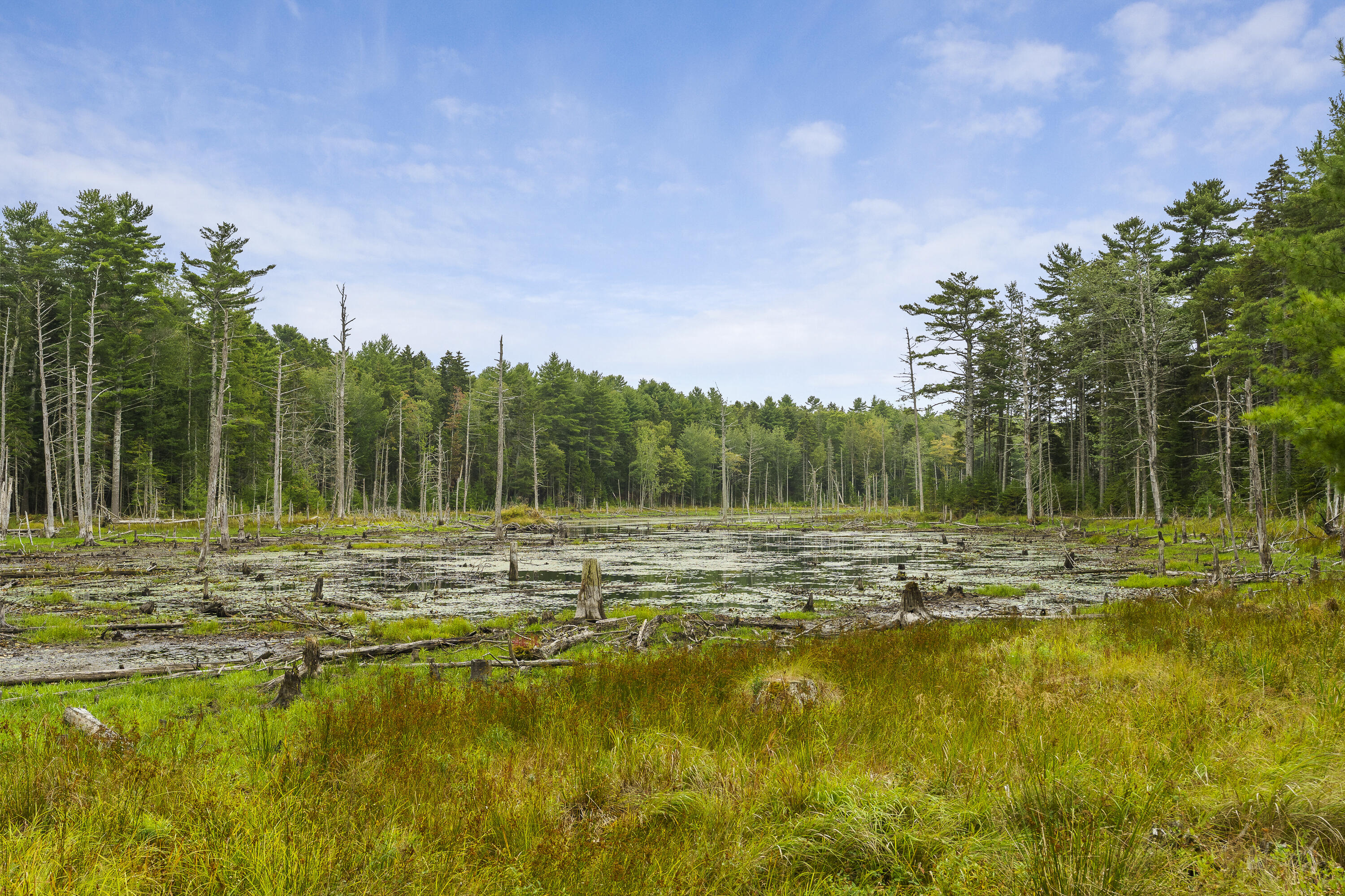 27 Doggett Road Westport Island ME 04578