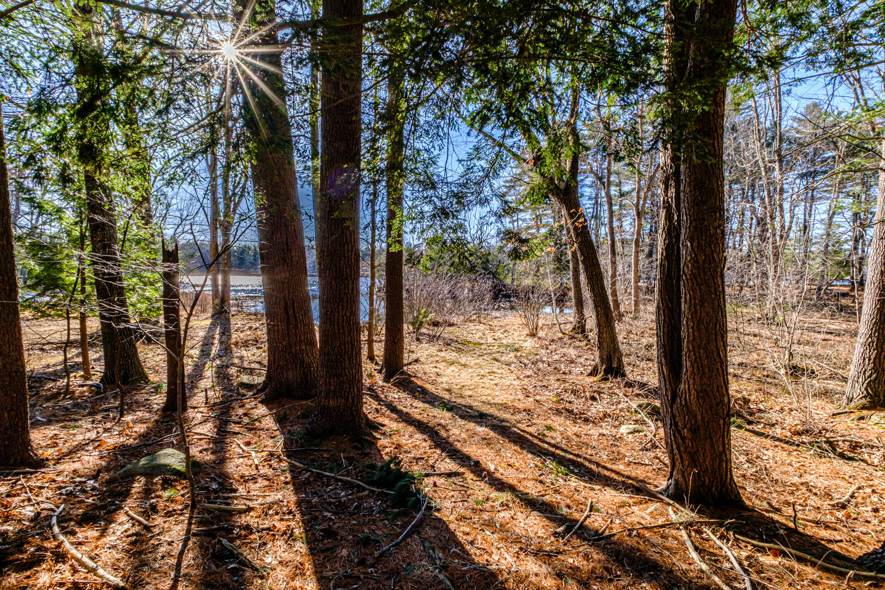 1 Roosevelt Trail Standish ME 04084