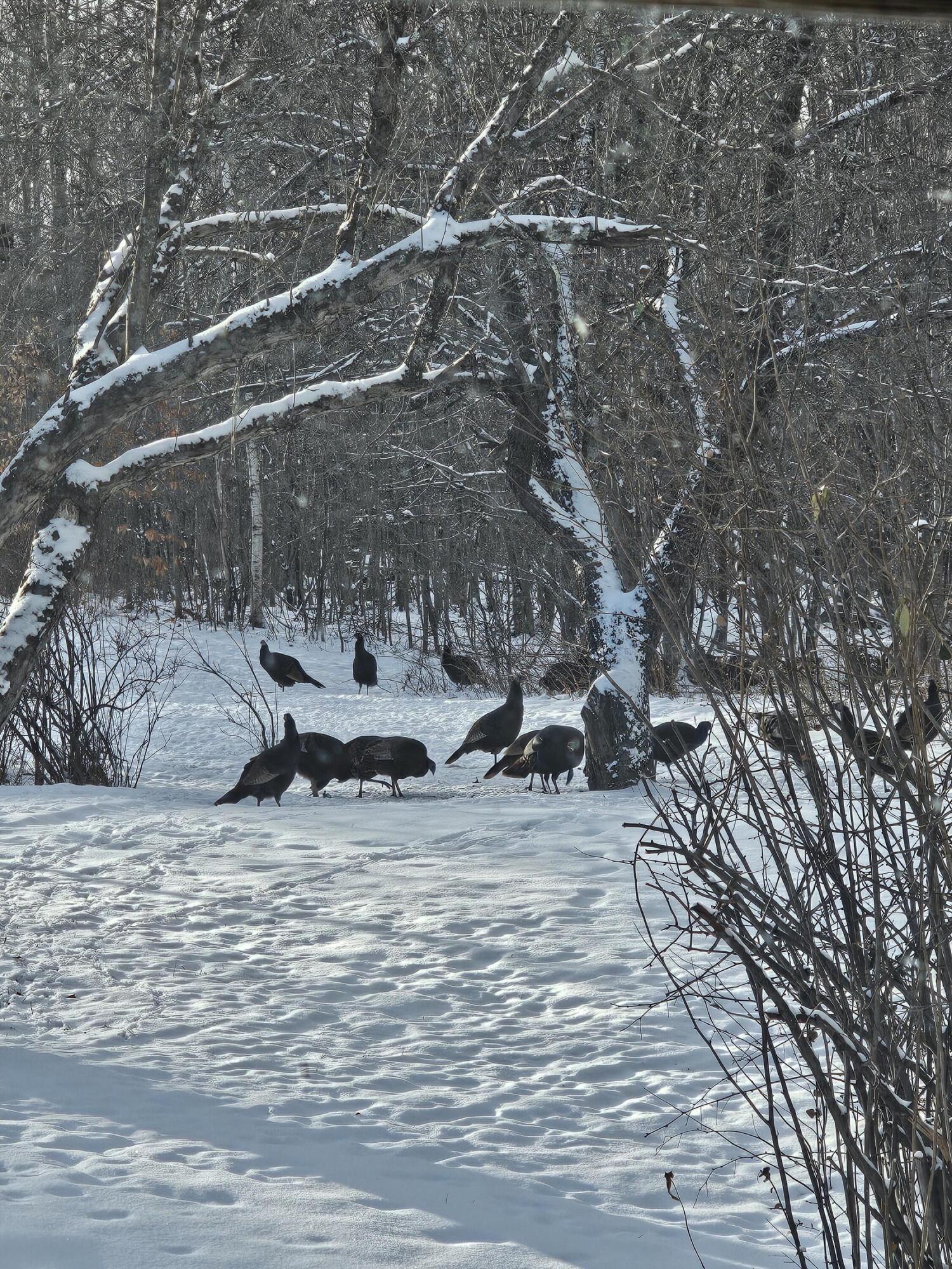 333 Bangor Road Dover-foxcroft ME 04426