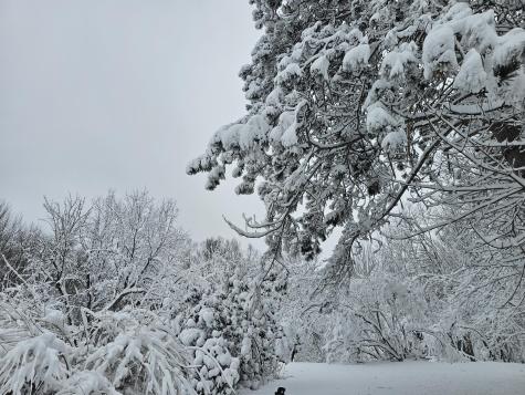 333 Bangor Road Dover-foxcroft ME 04426