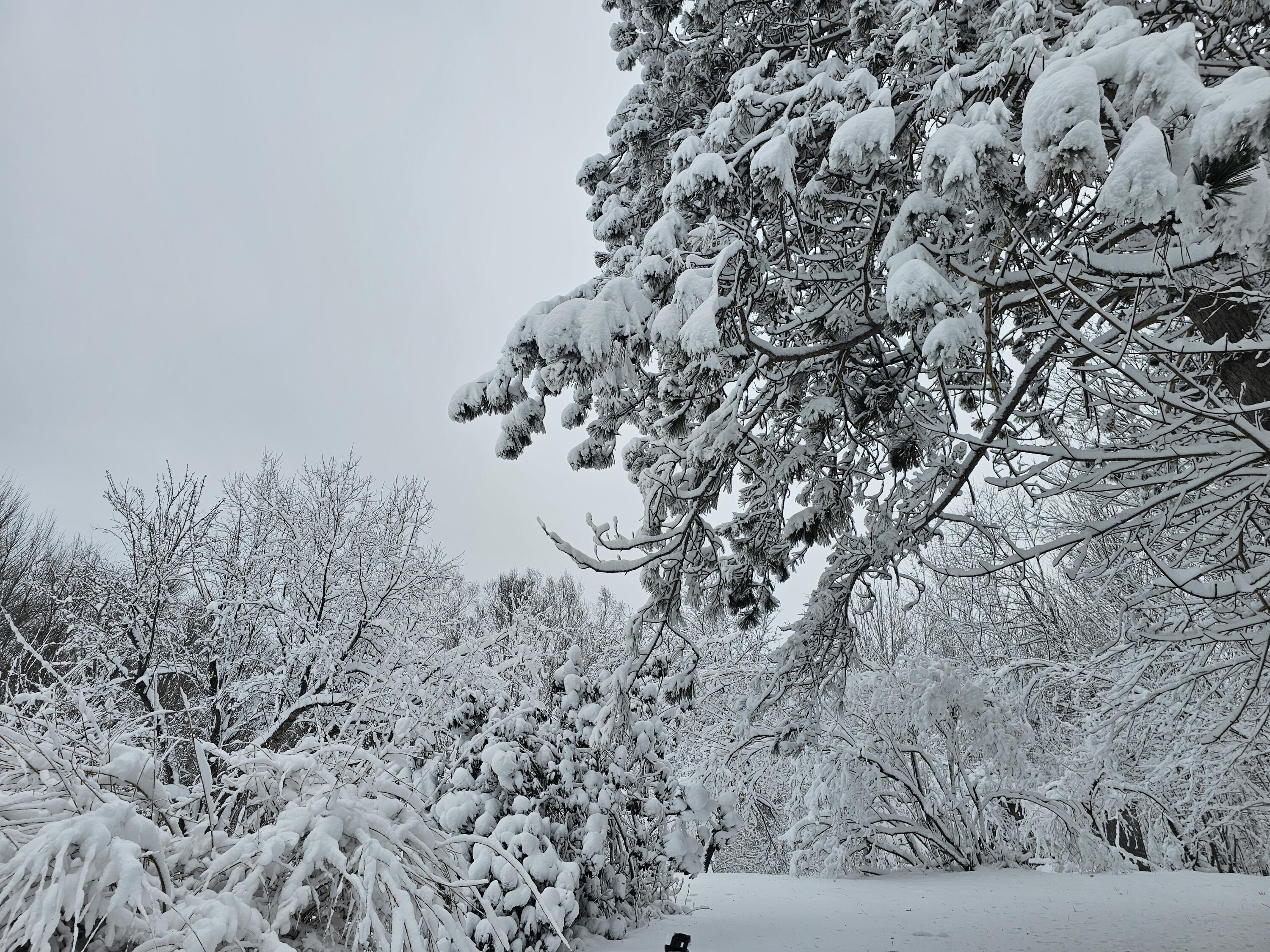 333 Bangor Road Dover-foxcroft ME 04426