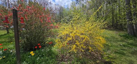 333 Bangor Road Dover-foxcroft ME 04426