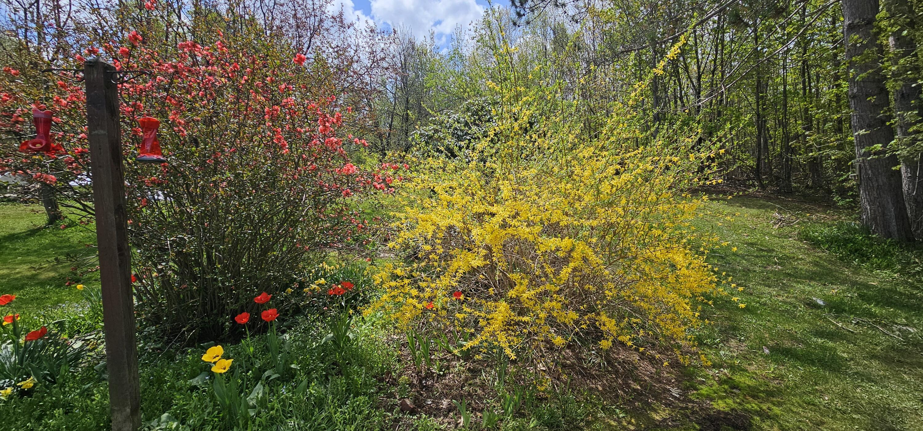 333 Bangor Road Dover-foxcroft ME 04426