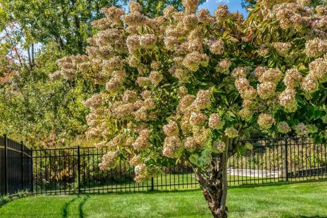 19 Ocean Greens Drive Saco ME 04072