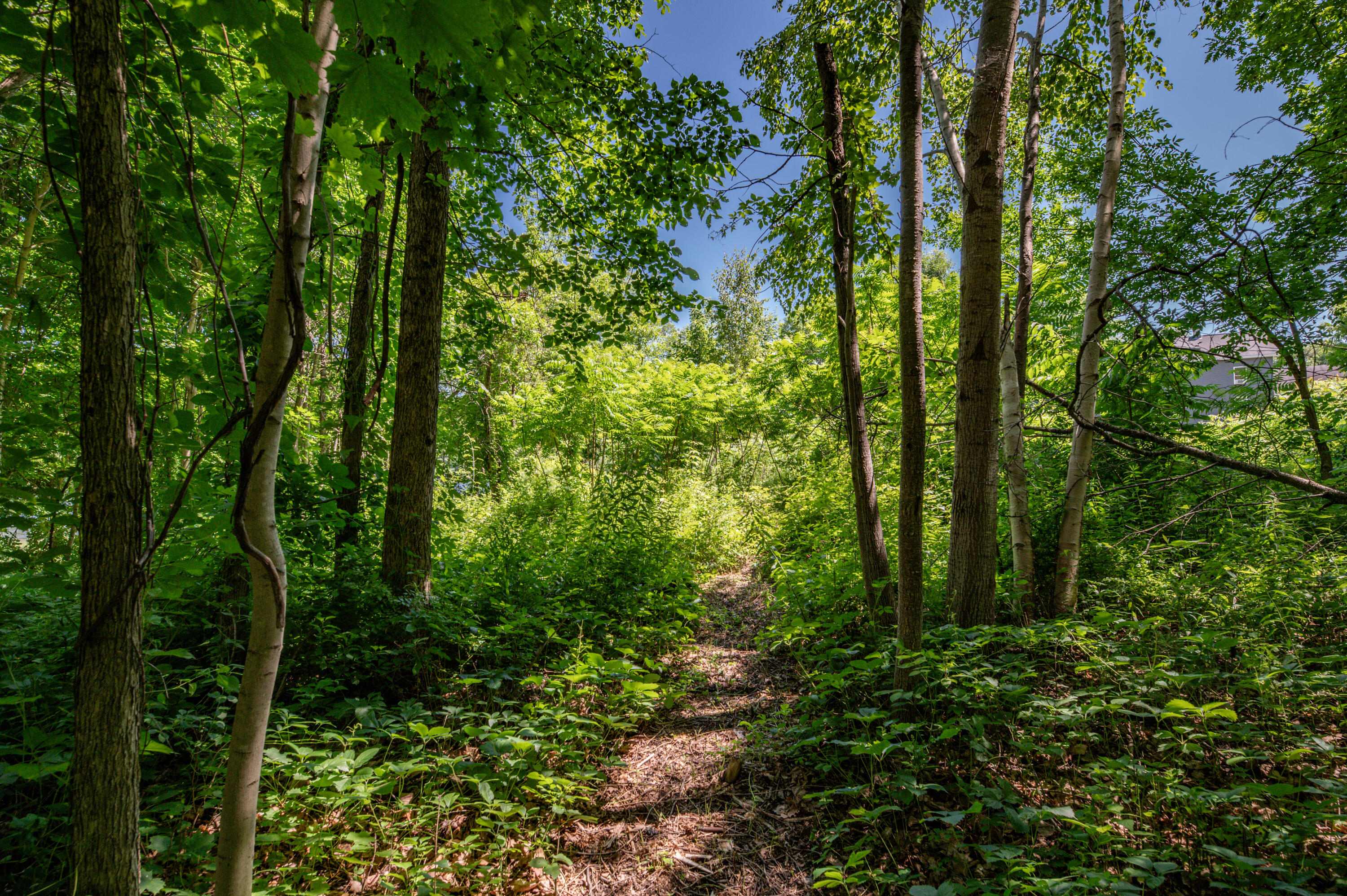 4 Riverview Drive Gardiner ME 04345