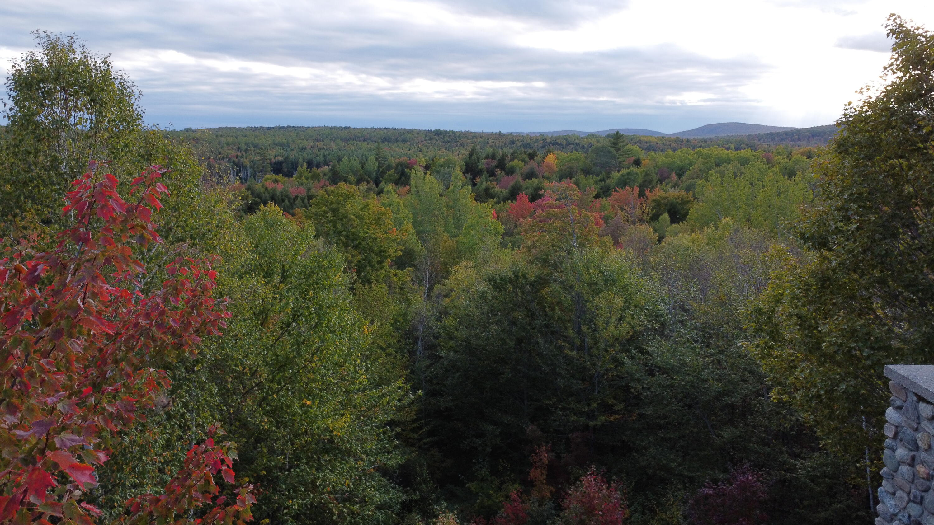 46 Toad Run Road Carroll Plt ME 04487