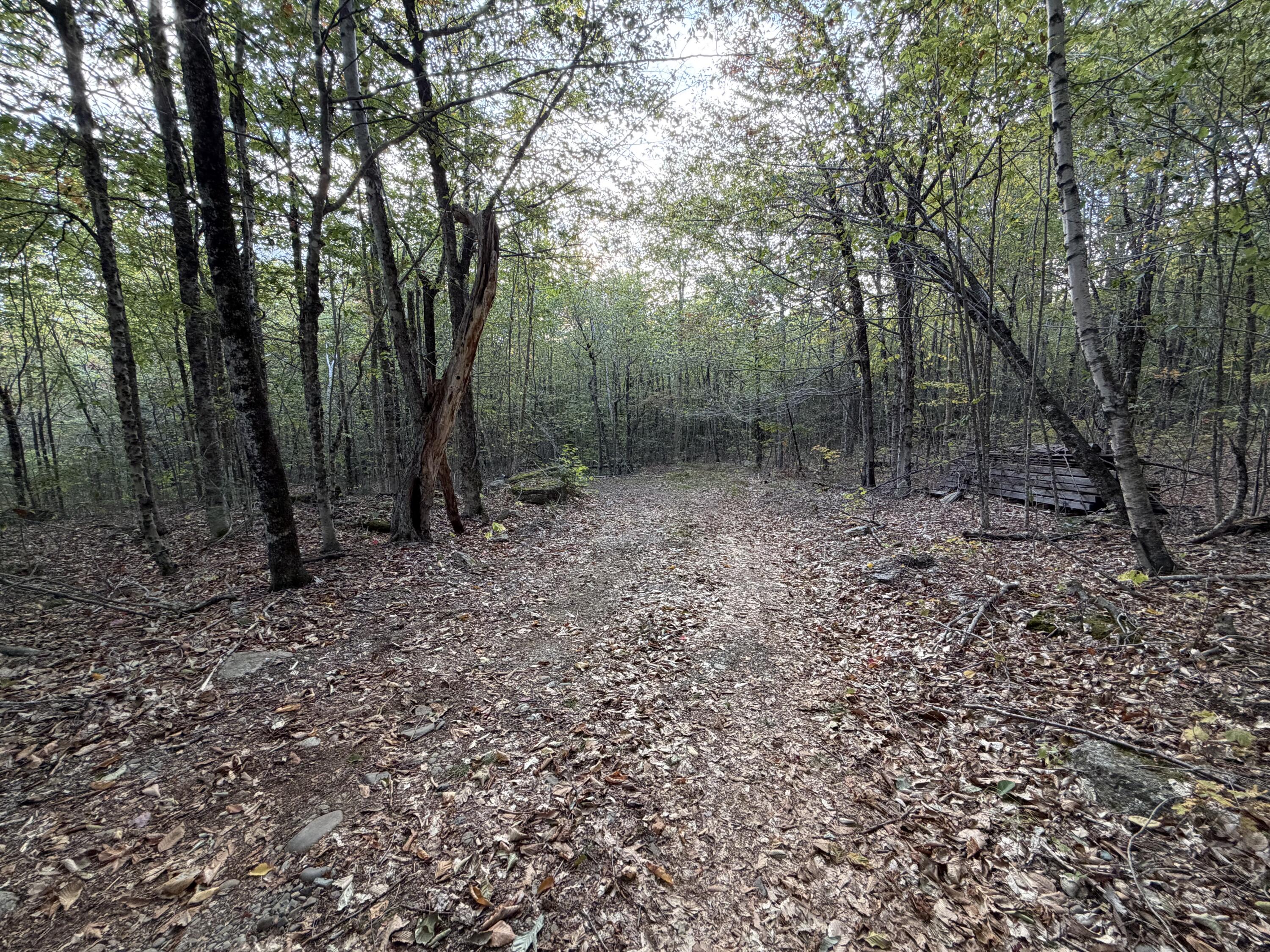 46 Toad Run Road Carroll Plt ME 04487