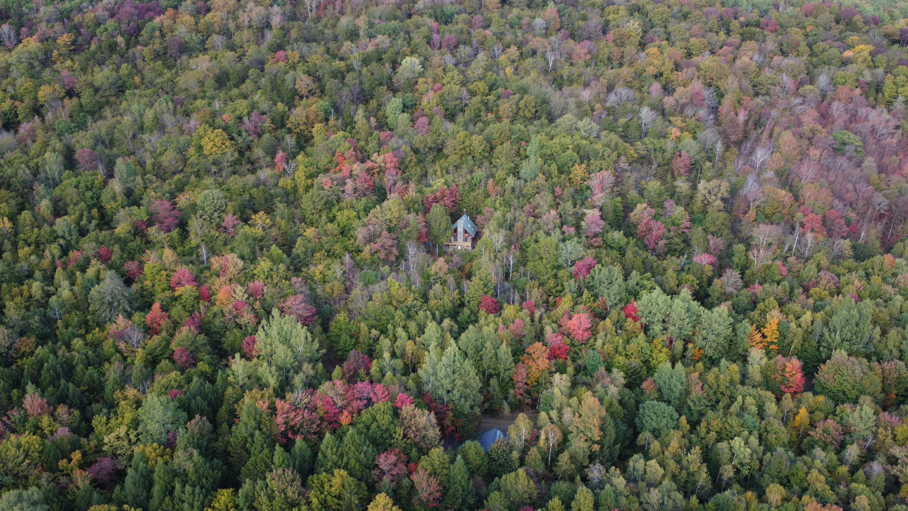 46 Toad Run Road Carroll Plt ME 04487