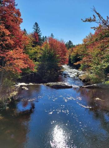 425 Saco Road Columbia ME 04623