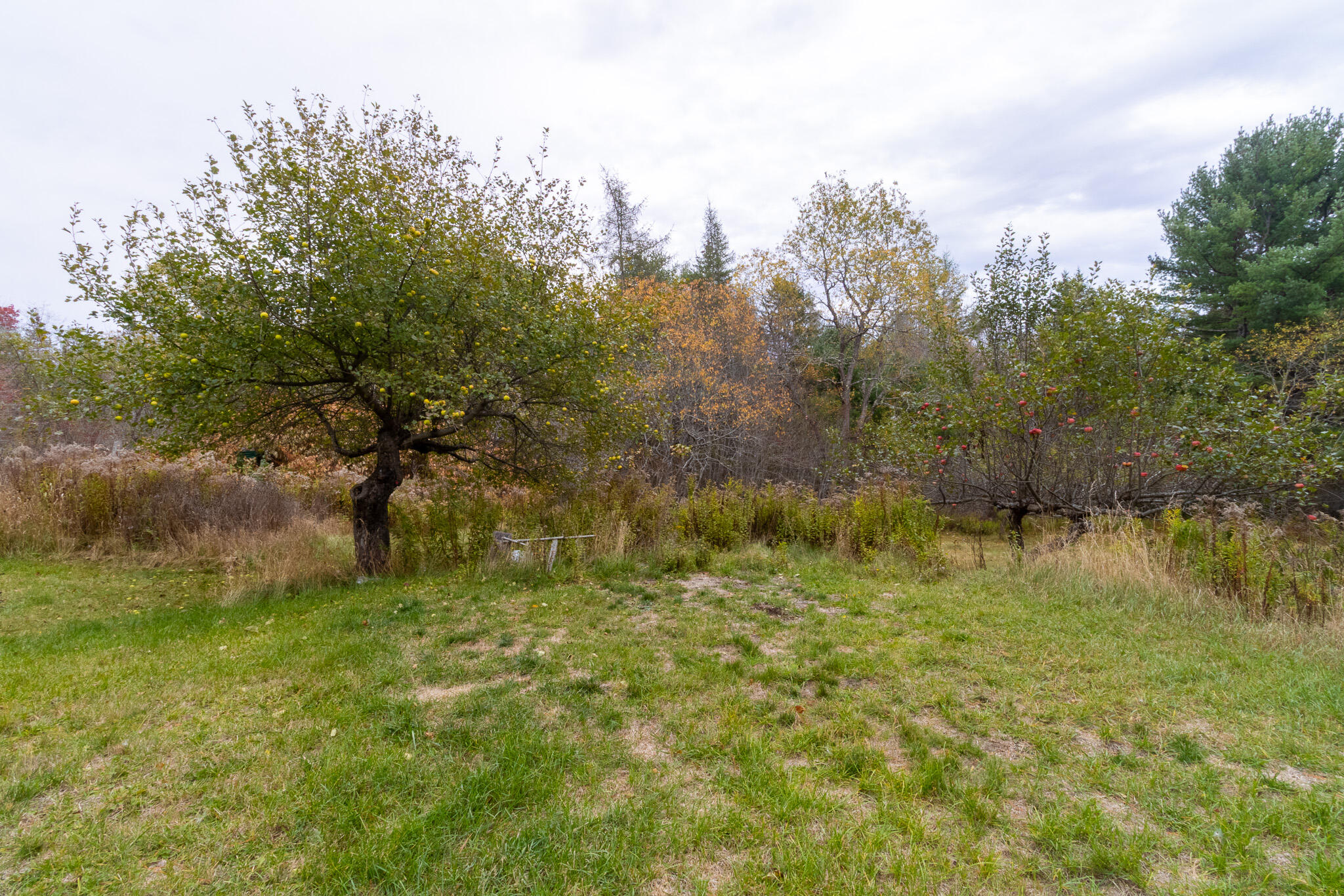 425 Saco Road Columbia ME 04623