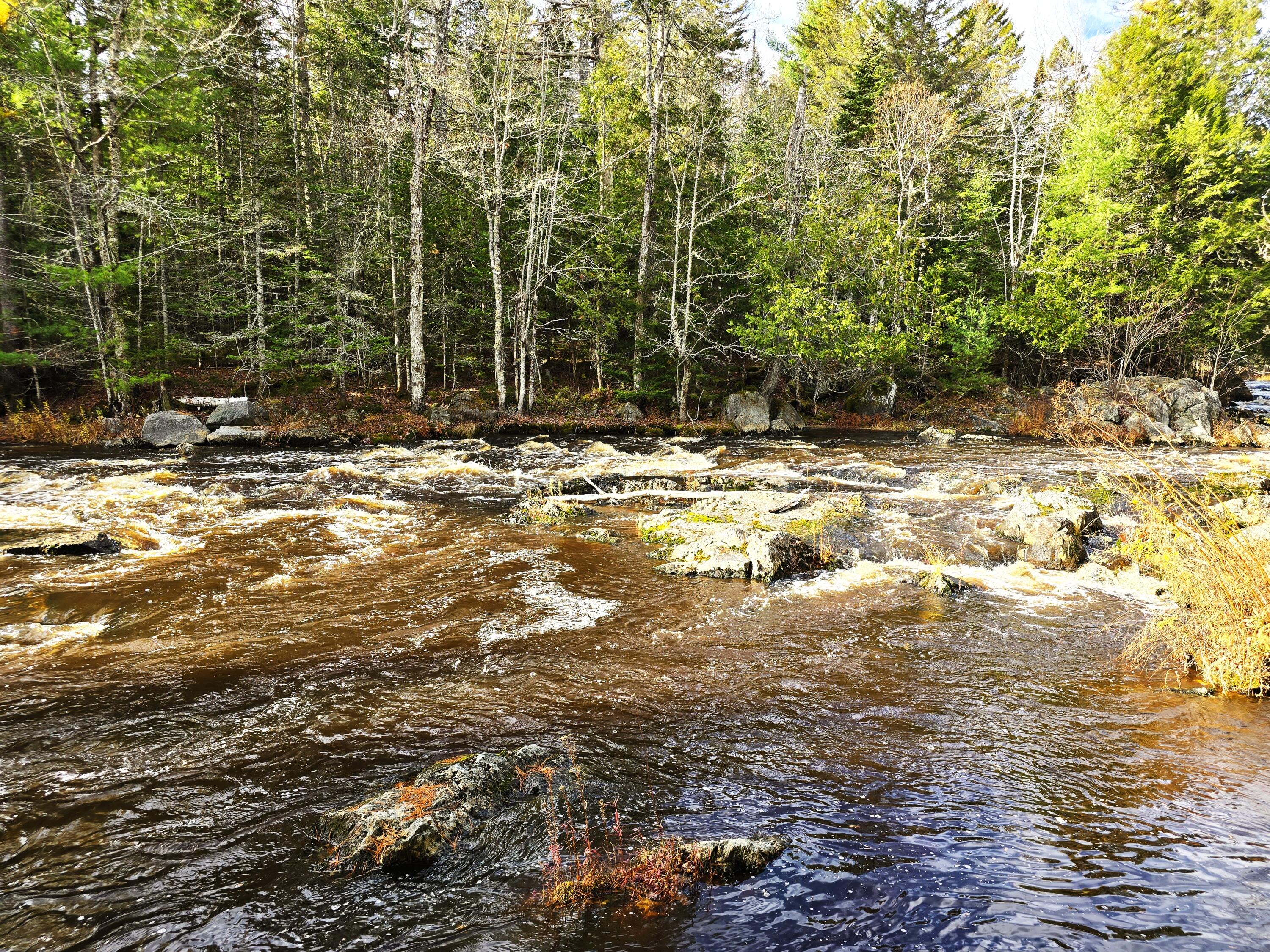 425 Saco Road Columbia ME 04623