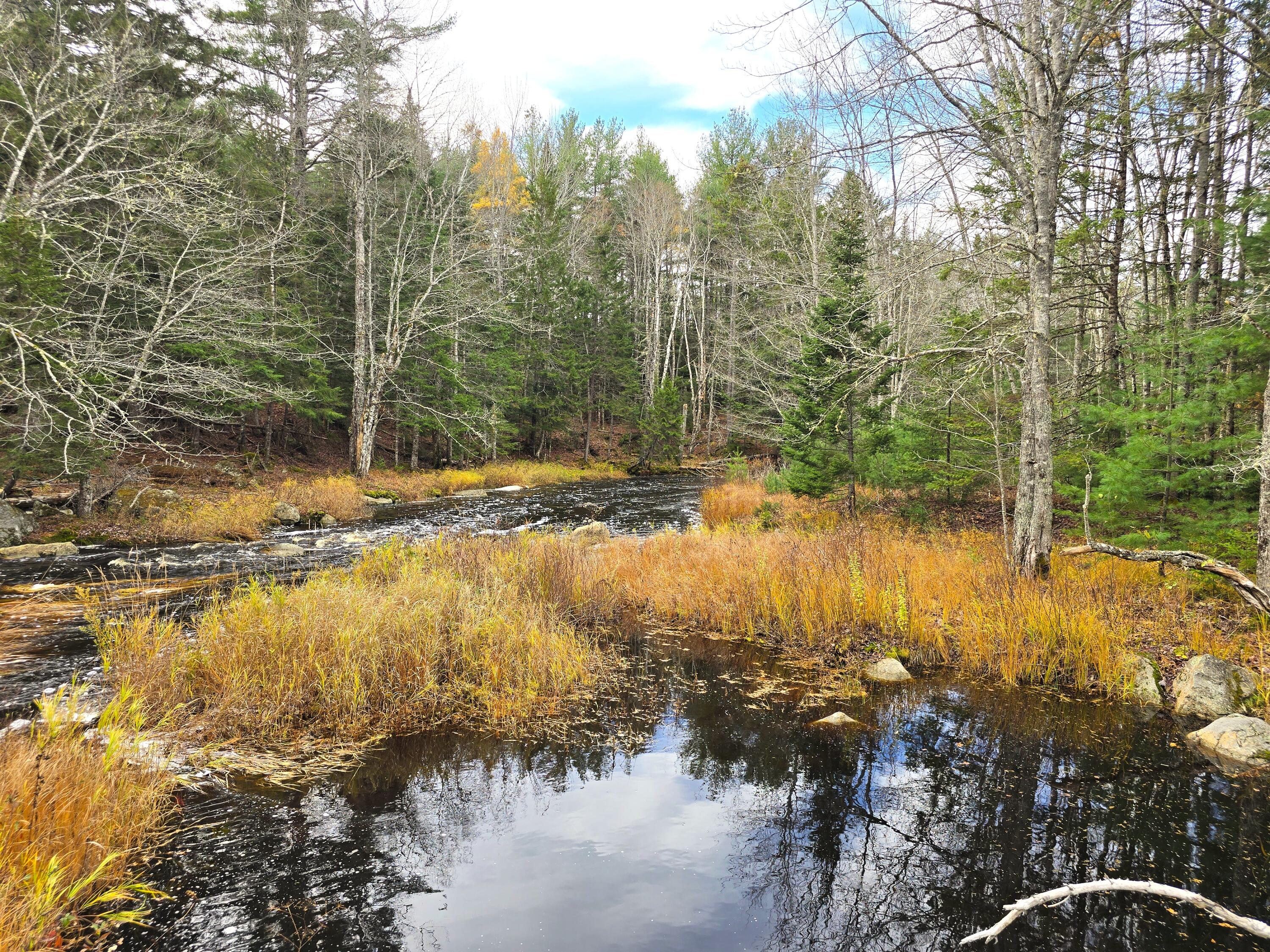 425 Saco Road Columbia ME 04623