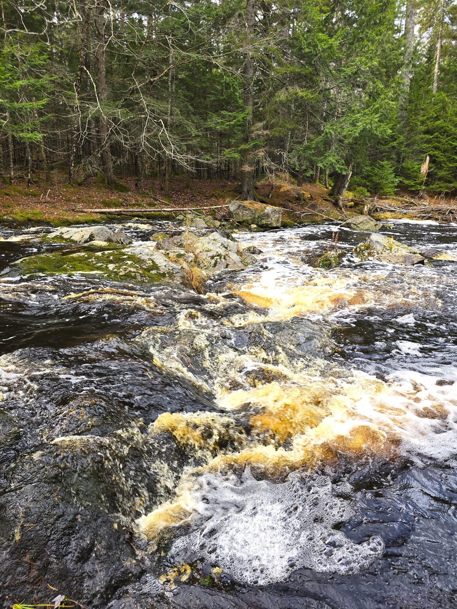 425 Saco Road Columbia ME 04623