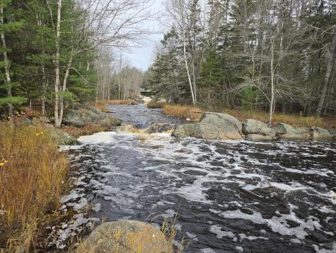 425 Saco Road Columbia ME 04623