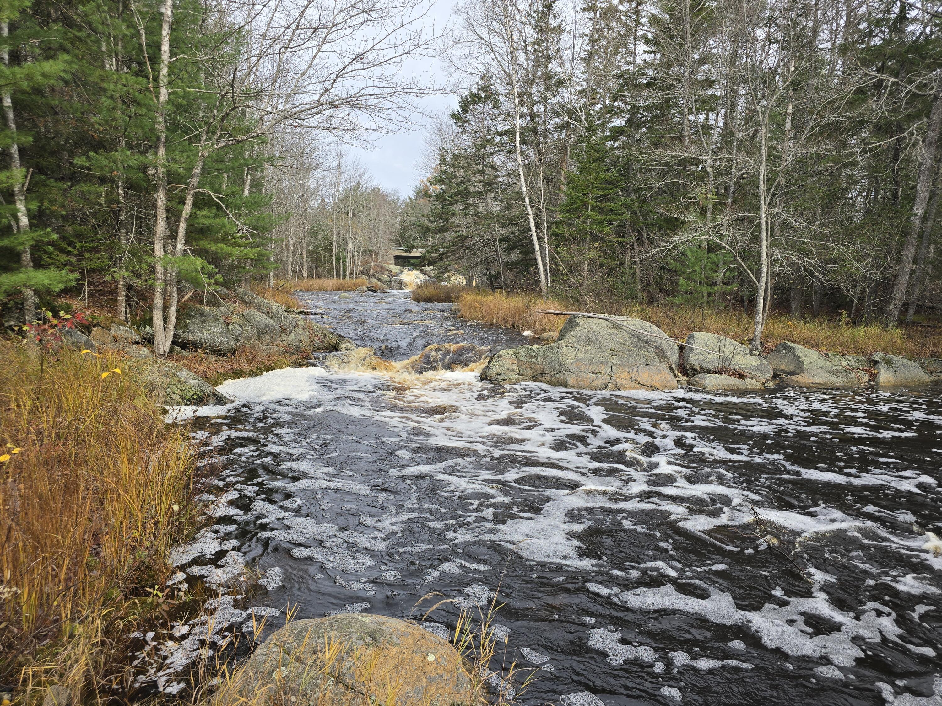 425 Saco Road Columbia ME 04623