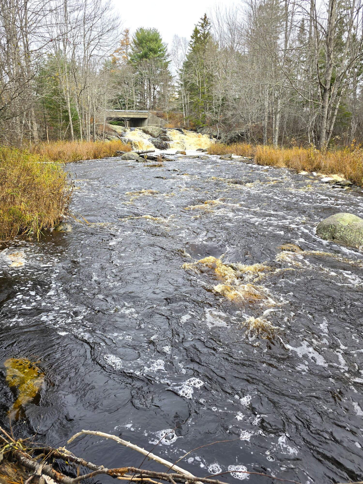 425 Saco Road Columbia ME 04623