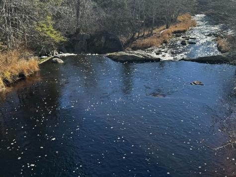 425 Saco Road Columbia ME 04623