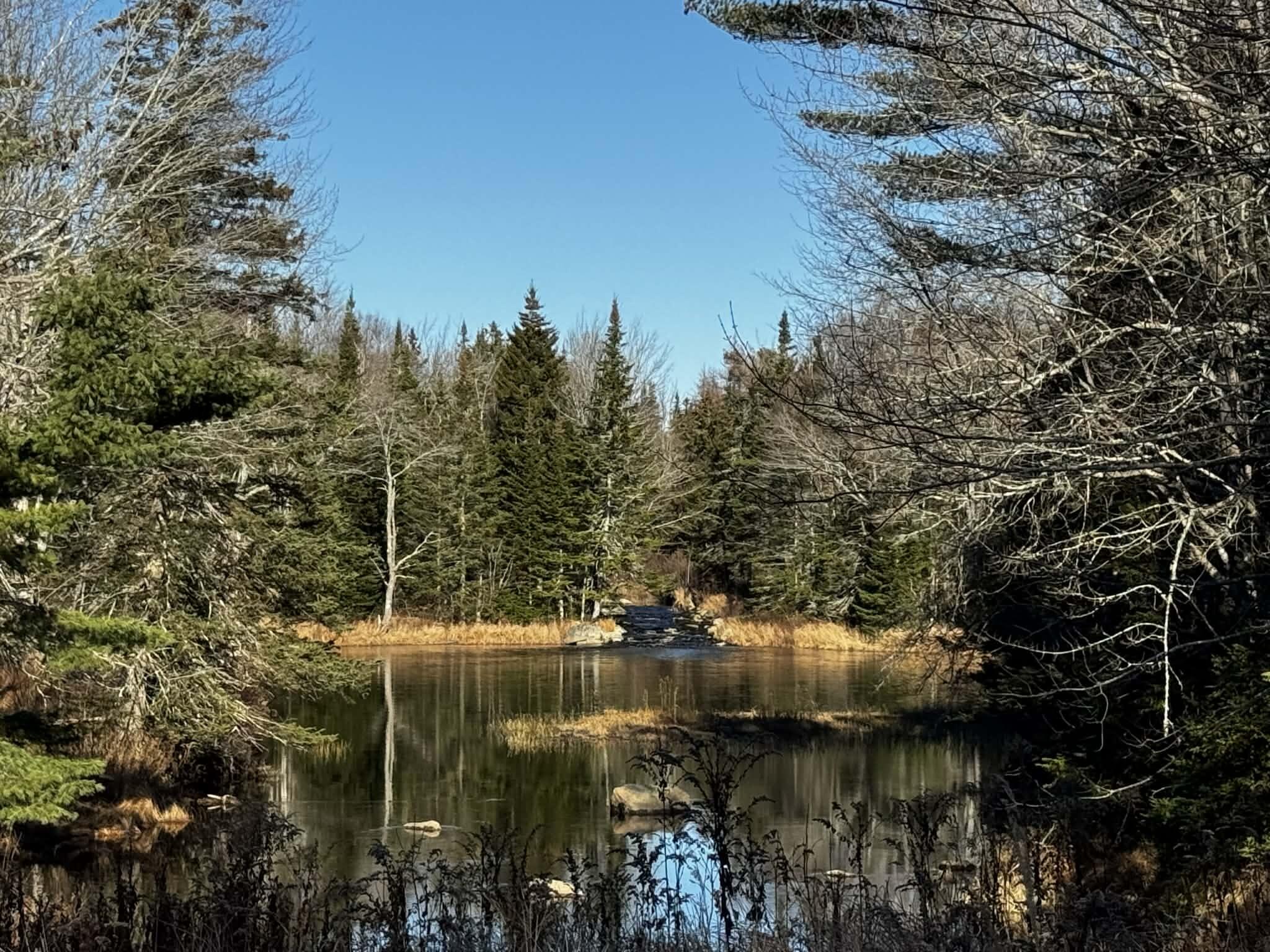 425 Saco Road Columbia ME 04623