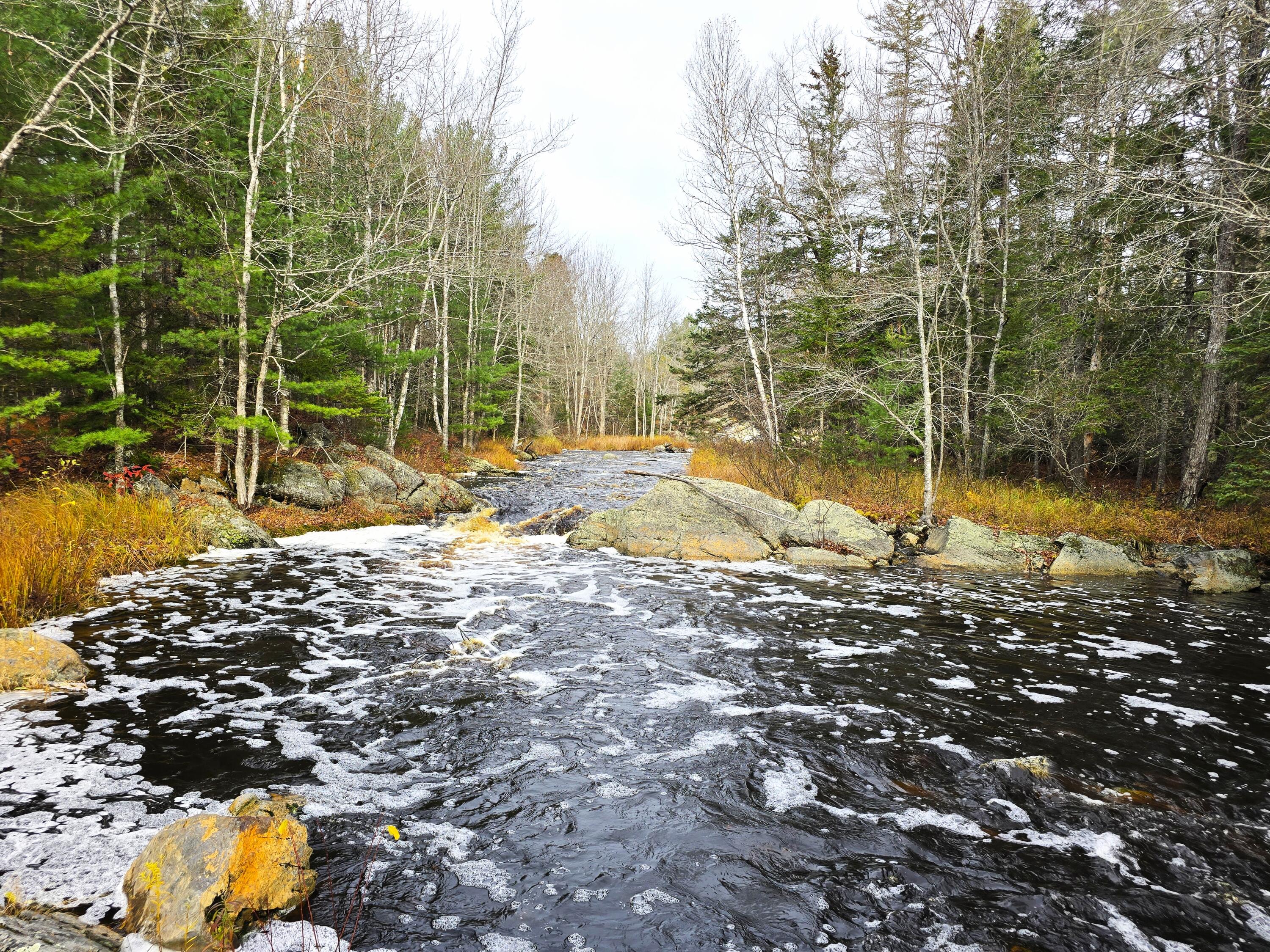 425 Saco Road Columbia ME 04623