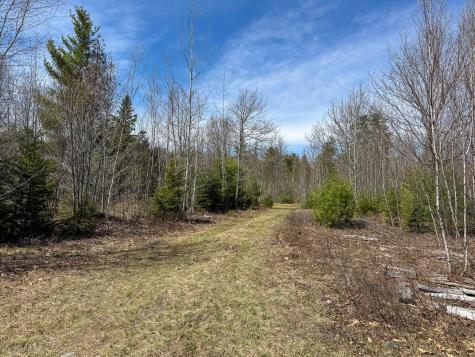 111 Fryes Lane Greenbush ME 04418