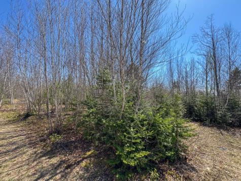 111 Fryes Lane Greenbush ME 04418