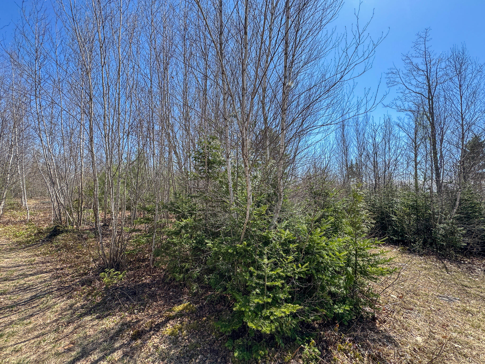 111 Fryes Lane Greenbush ME 04418