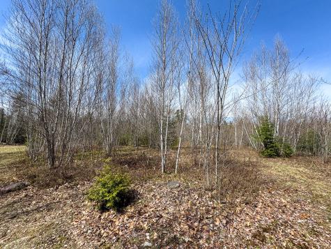 111 Fryes Lane Greenbush ME 04418