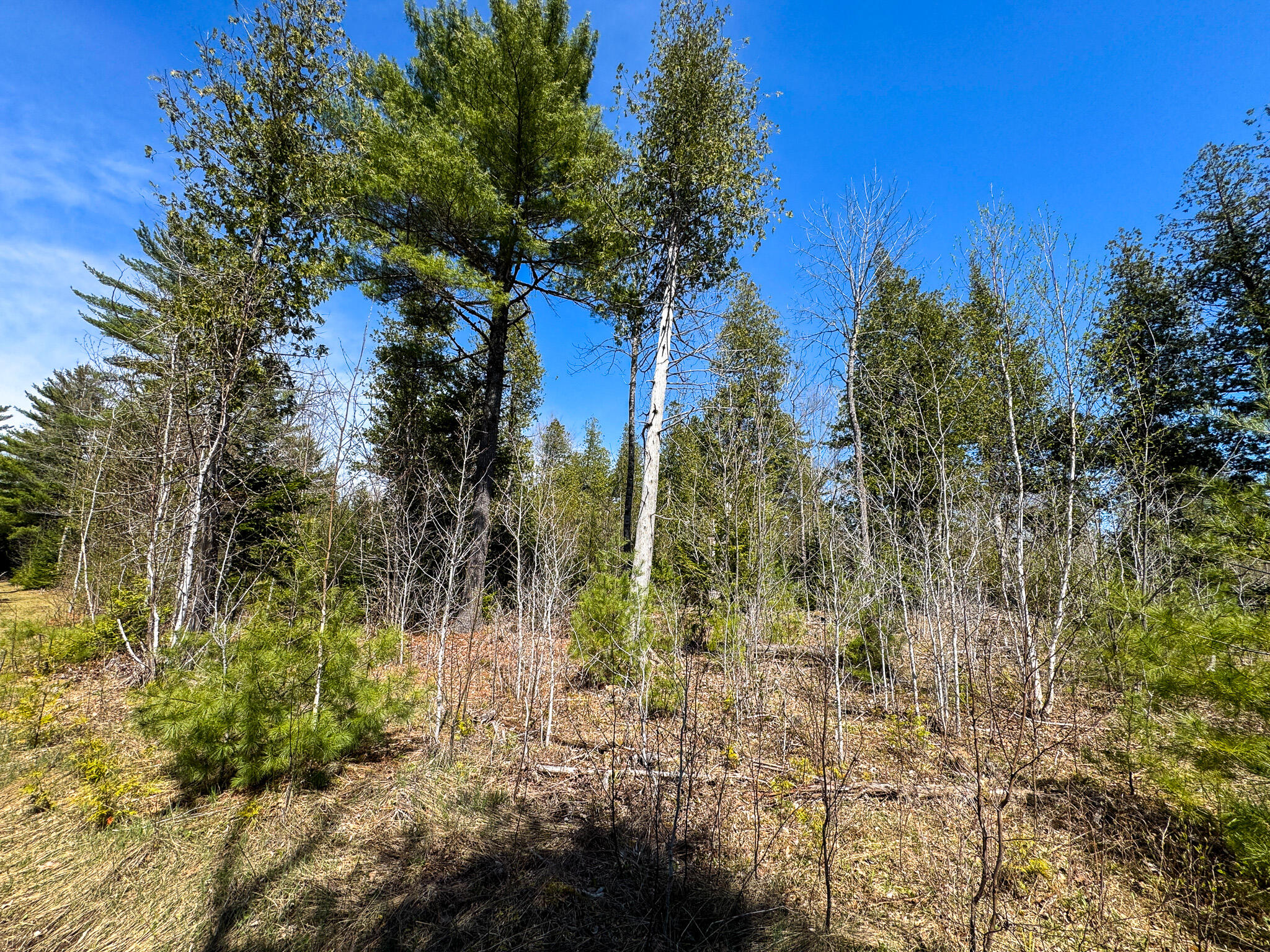 111 Fryes Lane Greenbush ME 04418