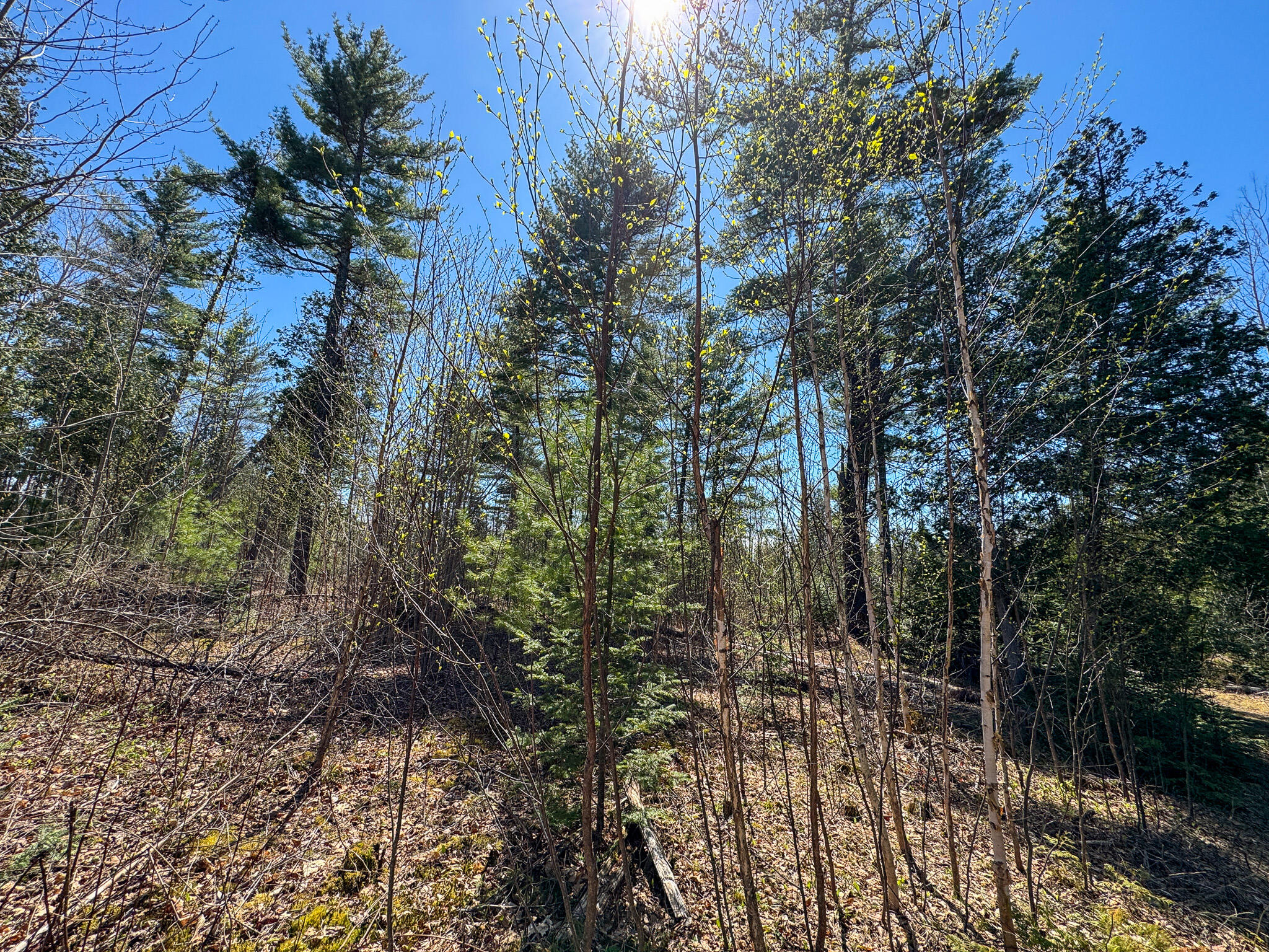 111 Fryes Lane Greenbush ME 04418