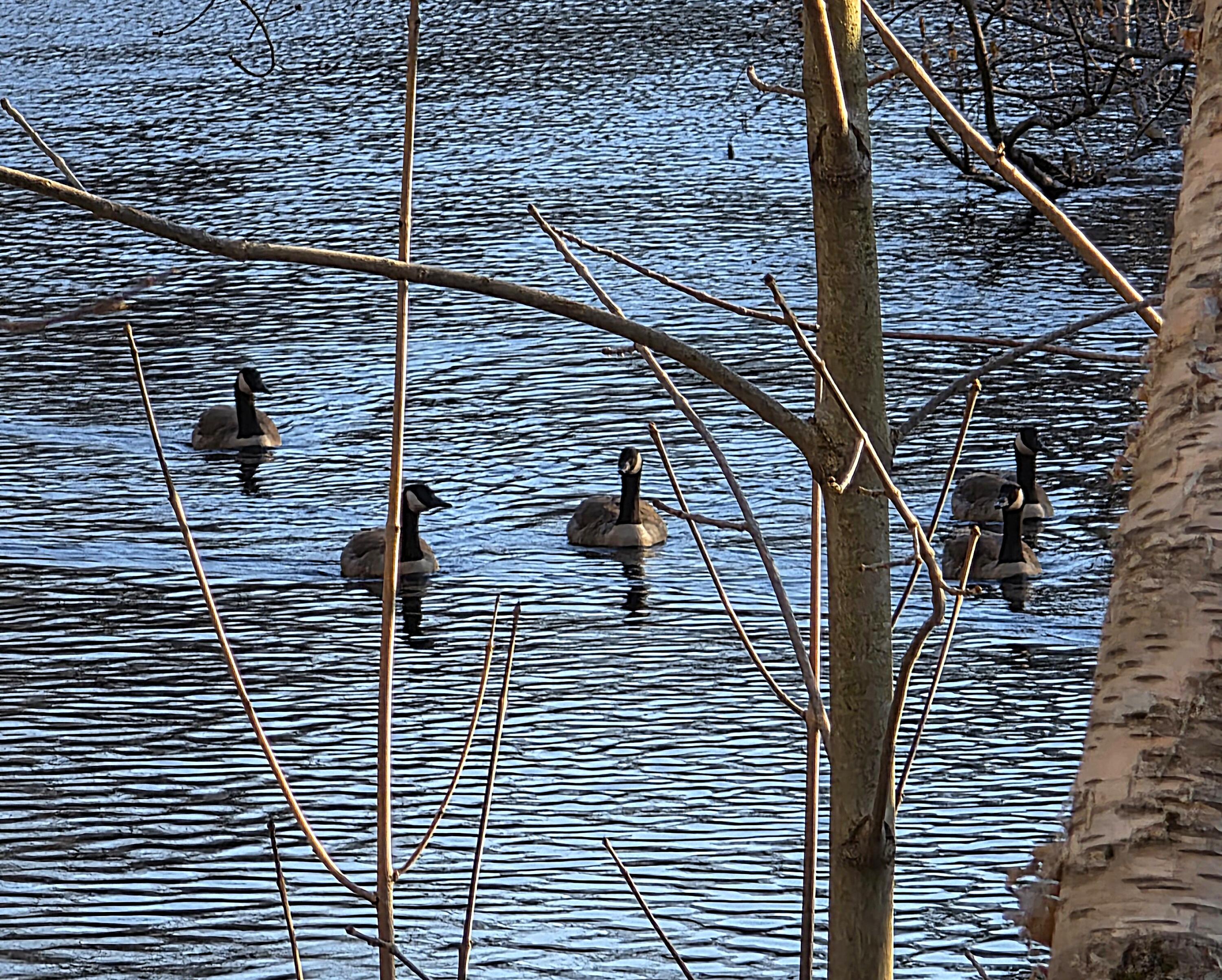 116 Fletcher Street Kennebunk ME 04043