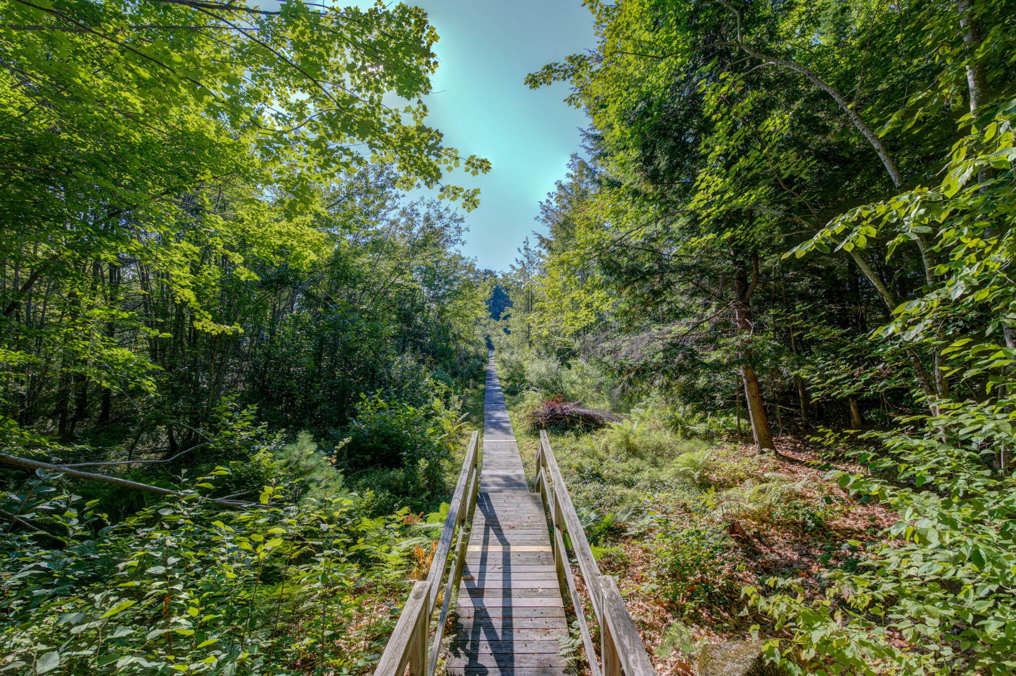 15 Worcester Drive Gray ME 04071