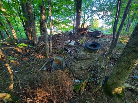 1337 Dexter Road Dover-foxcroft ME 04426