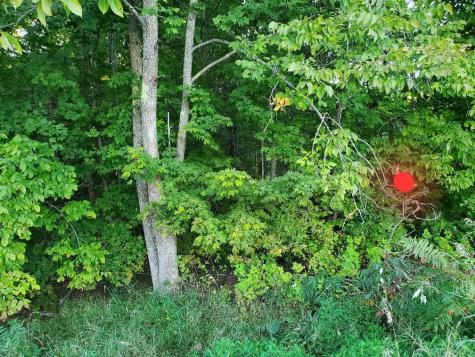 1337 Dexter Road Dover-foxcroft ME 04426