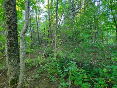 1337 Dexter Road Dover-foxcroft ME 04426