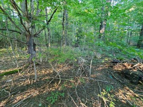 1337 Dexter Road Dover-foxcroft ME 04426