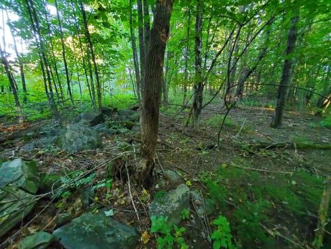 1337 Dexter Road Dover-foxcroft ME 04426