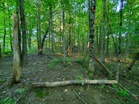 1337 Dexter Road Dover-foxcroft ME 04426