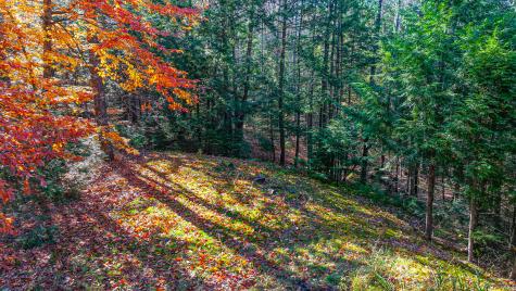 82 Pleasant Point Road Lovell ME 04051