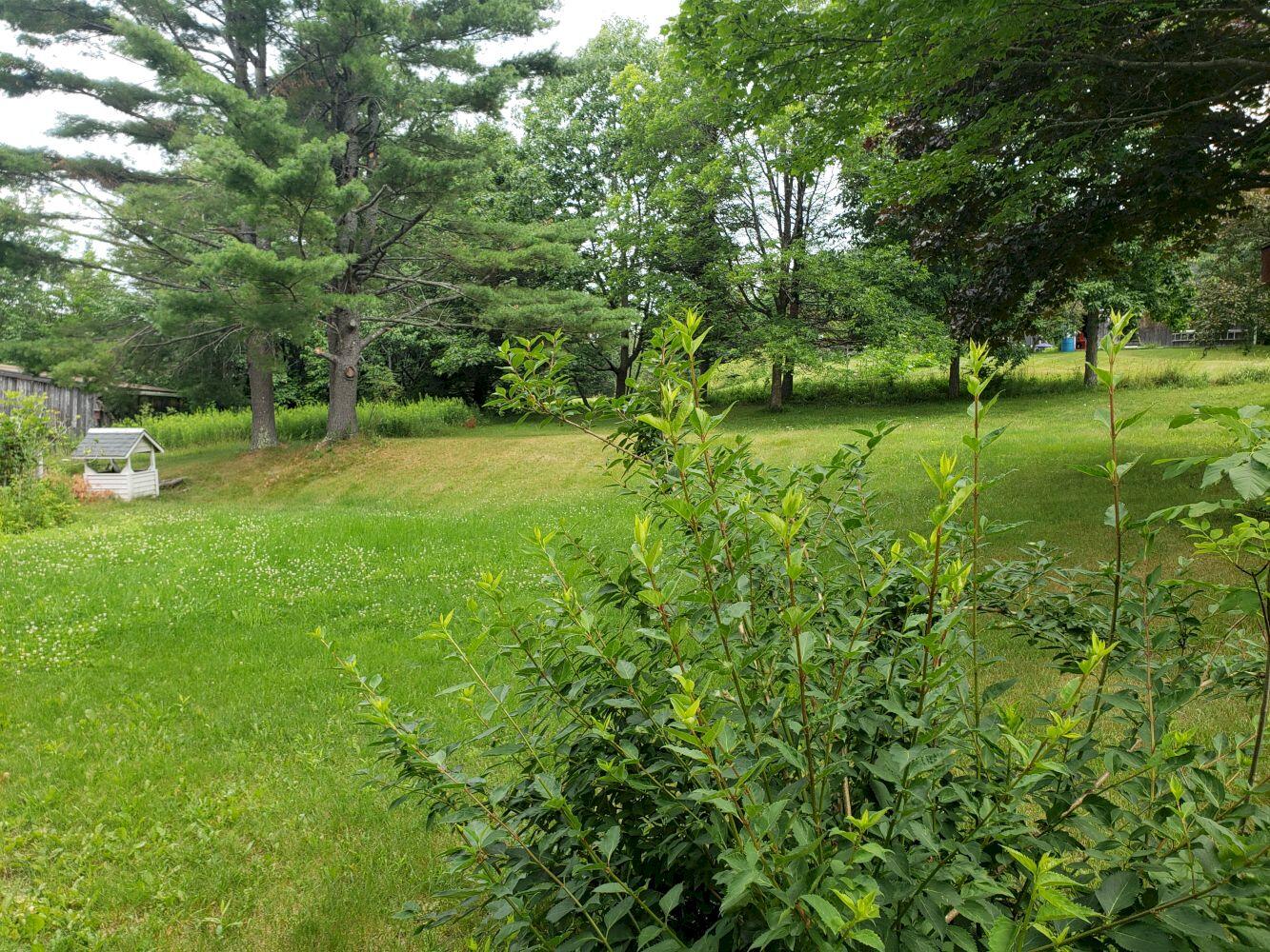 408 Finson Road Saint Albans ME 04971