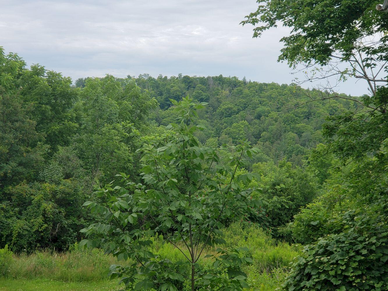 408 Finson Road Saint Albans ME 04971