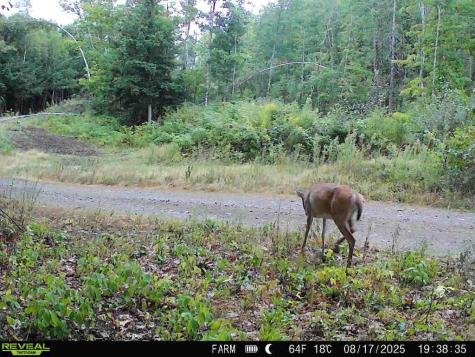 Lot 3 & 4 Nason Hill Road Dixmont ME 04932