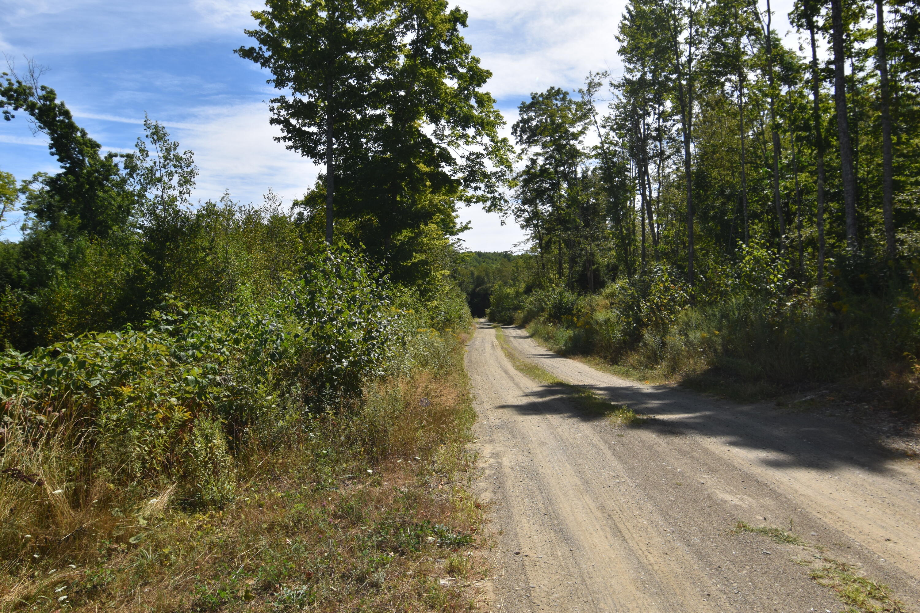 Lot 3 & 4 Nason Hill Road Dixmont ME 04932