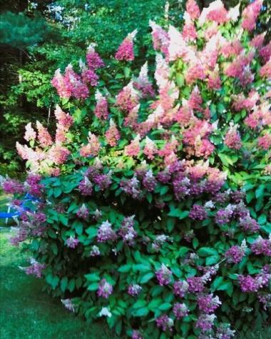 64 Port Road Kennebunk ME 04043