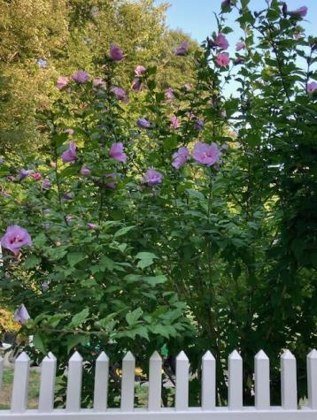 64 Port Road Kennebunk ME 04043