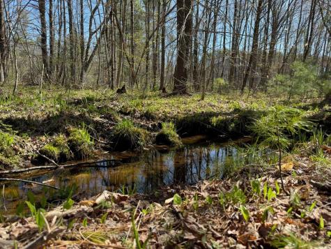 0 Scarlet Way Lebanon ME 04027