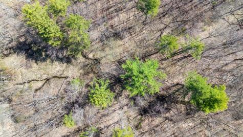 0 Scarlet Way Lebanon ME 04027