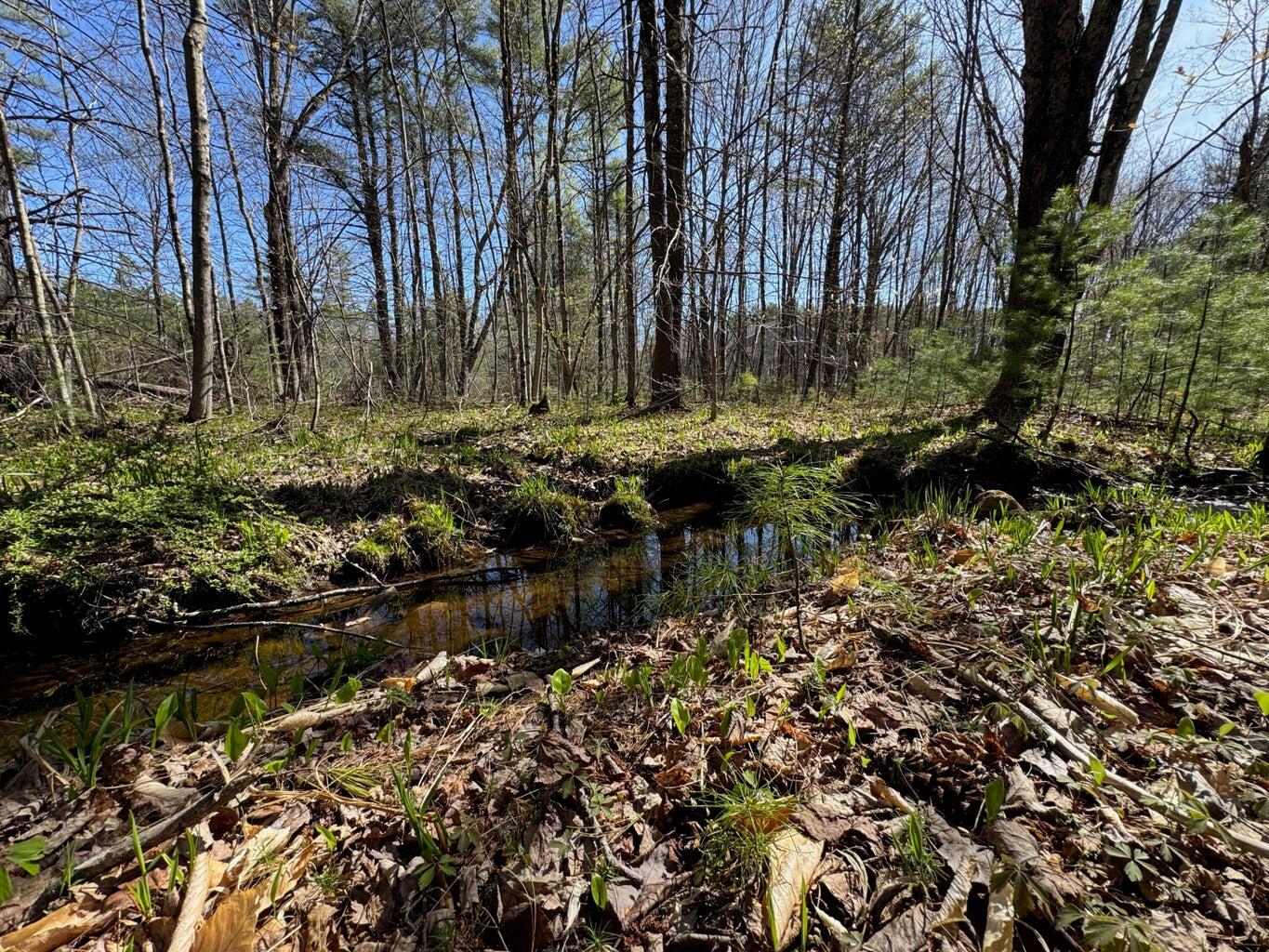 0 Scarlet Way Lebanon ME 04027